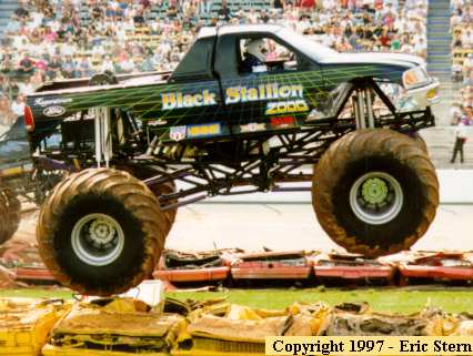 コレクション STALLIONS 2000 BLACK STALLION 2000